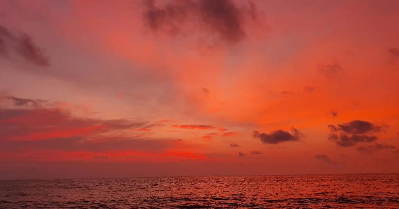Marari diya homestay Mararikulam Dış mekan fotoğraf